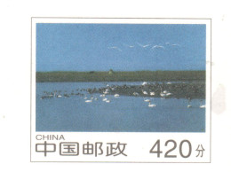 China 1997, Bird, Birds, Postal Stationery, Pre-Stamped Post Card, Air Mail, 420-Cent, Swan, 1v, MNH** (Split From Set) - Cisnes