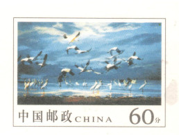 China 2001, Bird, Birds, Postal Stationery, Pre-Stamped Post Card, 60-Cent, Crane, 1v, MNH** (Split From Set) - Kraanvogels En Kraanvogelachtigen