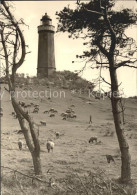 72128745 Insel Hiddensee Leuchtturm Am Dornbusch Insel Hiddensee - Autres & Non Classés