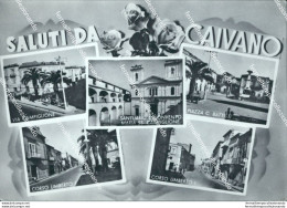 Bz418 Cartolina Saluti Da Caivano Provincia Di Napoli Campania - Salerno