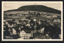 AK Weipert, Ortsansicht Mit Bärenstein  - Czech Republic