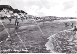 Bh633 Cartolina Marinella Di Sarzana Spiaggia Provincia Di La Spezia Liguria - La Spezia