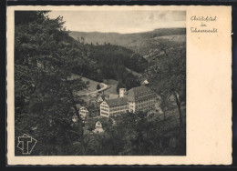 AK Freudenstadt, Blick Auf Die Tuchfabrik Christofstal  - Freudenstadt