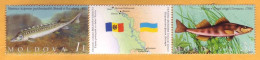 2007 Moldova Moldavie Moldau  Protected Fauna. Fish. Dniester, Ukraine 2v Mint - Moldavie
