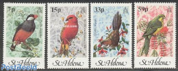 Saint Helena 1983 Birds 4v, Mint NH, Nature - Birds - Sainte-Hélène