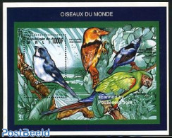 Mali 1995 Sporophila Lineola S/s, Mint NH, Nature - Birds - Parrots - Malí (1959-...)