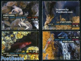 Azores 2006 Hydrothermal Sources 4v, Mint NH, History - Nature - Geology - Fish - Shells & Crustaceans - Fishes