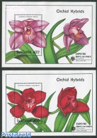 Tanzania 1991 Expo 90, Orchids 2 S/s, Mint NH, Nature - Flowers & Plants - Orchids - Philately - Tansania (1964-...)