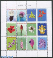 St. Maarten 2014 Flowers 12v M/s, Mint NH, Nature - Flowers & Plants - Autres & Non Classés