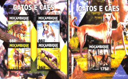 Mozambique 2016 Cats & Dogs 2 S/s, Mint NH, Nature - Cats - Dogs - Mosambik