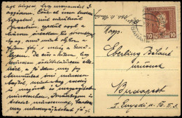 1917, Bosnien Und Herzegowina (Österr.), 127 A, Brief - Bosnia Herzegovina