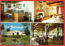 La Jalonnière - Vues Diverses - Restaurant - Le Perrier - Other & Unclassified