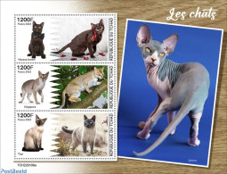 Chad 2022 Cats, Mint NH, Nature - Cats - Sonstige & Ohne Zuordnung