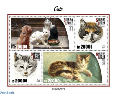 Sierra Leone 2022 Cats, Mint NH, Nature - Cats - Autres & Non Classés