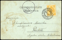 1895, Bosnien Und Herzegowina (Österr.), 2 II D, Brief - Bosnien-Herzegowina