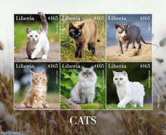 Liberia 2022 Cats, Mint NH, Nature - Cats - Other & Unclassified