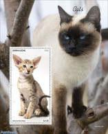 Sierra Leone 2022 Cats, Mint NH, Nature - Cats - Autres & Non Classés