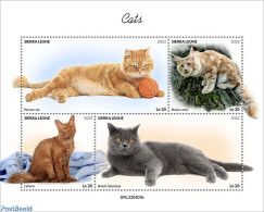 Sierra Leone 2022 Cats, Mint NH, Nature - Cats - Other & Unclassified