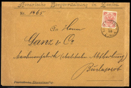 1879, Bosnien Und Herzegowina (Österr.), 4 III, Brief - Bosnien-Herzegowina