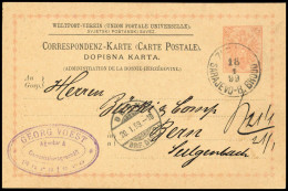 1891, Bosnien Und Herzegowina (Österr.), P 4, Brief - Bosnia And Herzegovina