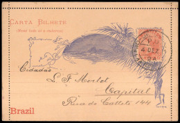 1891, Brasilien, K 21, Brief - Other & Unclassified