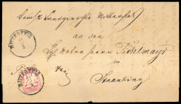 1876, Altdeutschland Bayern, 39 A, Brief - Other & Unclassified