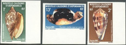 NEW CALEDONIA 1981 SEASHELLS IMPERF SET** - Schelpen