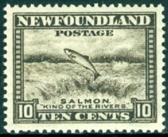 NEWFOUNDLAND 1932 PICTORIALS, 10c SALMON  UP STREAM** - Fishes