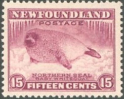 NEWFOUNDLAND 1932 PICTORIALS, 15c SEAL PUP* - Other & Unclassified