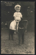 AK Prinz Louis Ferdinand Auf Einem Pony  - Familles Royales