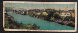 CC445 - CARTE PANORAMIQUE CHOCOLAT CANTALOUP CATALA - BESSIERES VUE DU TARN - Autres & Non Classés