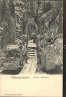 72120984 Rathen Saechsische Schweiz Schwedenloecher Schlucht Rathen Kurort - Rathen