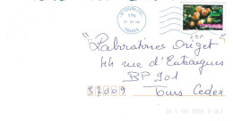 TIMBRE N° 3882  -   LA  MIRABELLE  -  TARIF DU 1 3 05 AU 30 9 06 - SEUL SUR LETTRE  -  2006 - Postal Rates