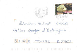 TIMBRE N° 3884  -   LE BEURRE  -  TARIF DU 1 3 05 AU 30 9 06 - SEUL SUR LETTRE  -  2006 - Posttarife