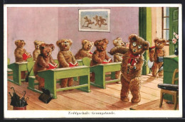 AK Gesangstunde In Der Teddyschule  - Used Stamps