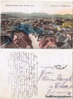 Neunkirchen (Niederösterreich) Triesterstraße Mit Panorama 1924 - Sonstige & Ohne Zuordnung