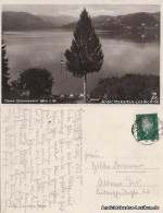 Ansichtskarte Titisee-Neustadt Panorama 1929 - Titisee-Neustadt