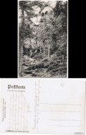 Ansichtskarte Ilmenau Der Schwalbenstein 1907 - Ilmenau