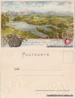 Lindau (Bodensee) Präge AK Mit Wappen - Bodensee Aus Der Vogelschau 1902 - Autres & Non Classés