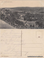 Ansichtskarte Bad Schwalbach Langenschwalbach Panorama 1918 - Bad Schwalbach