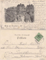 Ansichtskarte Frankfurt Am Main Das Schweizerhaus Im Palmengarten 1898 - Frankfurt A. Main