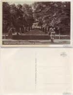 Ansichtskarte Herrenhausen-Hannover Gartentheater - Foto Ansichtskarte 1936 - Hannover