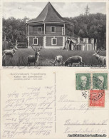 Postcard Eichwald (Erzgebirge) Dubí Tuppelburg - Lustschlößchen 1922 - Czech Republic