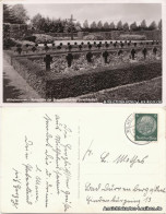 Rüstringen-Wilhelmshaven Ruhestätte Der Skagarrakhelden, Ehrenfriedhof 1939 - Wilhelmshaven