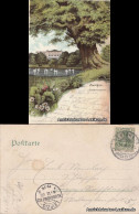 Ansichtskarte Zwickau Schwanenschloß 1905 - Zwickau