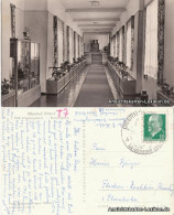 Ansichtskarte Oberhof (Thüringen) Wandelgang - VDK Erholungsheim 1960 - Oberhof