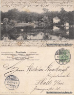 Ansichtskarte Wilhelmshaven Schwanenteich Im Park 1904 - Wilhelmshaven