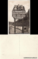 Ansichtskarte St. Blasien Orgineller Wegweiser - Foto AK 1936 - St. Blasien