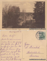 Ansichtskarte Braunlage Waldmühle 1913 - Braunlage