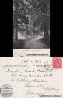 Postcard Buckingham Maidsmoreton Avenue, Buckingham 1904 - Autres & Non Classés